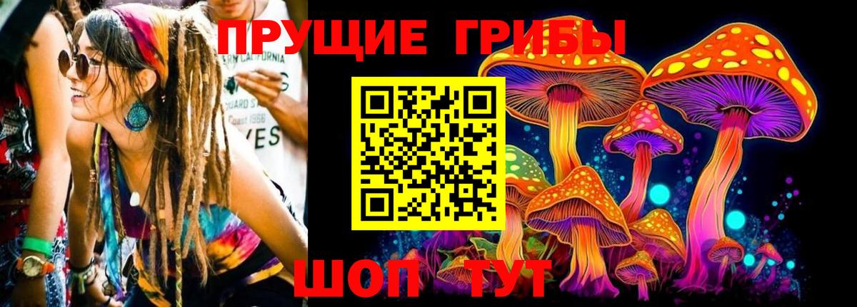 Псилоцибиновые грибы MAGIC MUSHROOMS Гусев