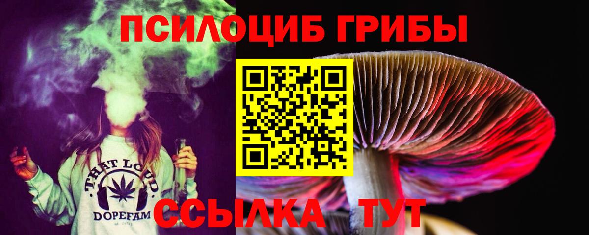 Гусев  Псилоцибиновые грибы MAGIC MUSHROOMS  Вход с VPN 